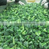 Sell Broccoli