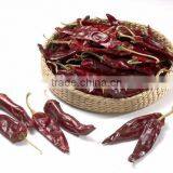 Varieties Chinese origin dry red chilli, dry red American Red chilli, chaotian chili yidu chili