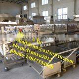 Fruit Classifier Machine /roller Onion Grading Machine thumbnail-2