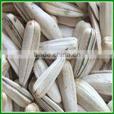 Sale Best Quality Raw White Sunflower Seeds In Bulk For Human Consumption thumbnail-1