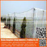 Best Selling 20/30/40/50 Mesh Hdpe Plastic Agriculture Greenhouse Vegetable and Fruit Anti-insect Net , Nylon Insect Net thumbnail-3