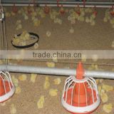 Indoor facilities for a poultry farm hen