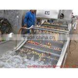 Industrial Vegetable and Fruit Washing Machine thumbnail-4