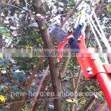 Tree Lopper - Telescopic & With Cutting Saw thumbnail-4