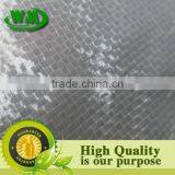 Anti-UV pe Transparent Tarpaulin Fabric thumbnail-4