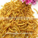 High Quality Wholesale Chicken Feed Dried Mealworms//bird Feed Mealworms thumbnail-2