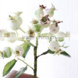 Christmas Table Decor Plastic Pomegranate Decorative Artificial Flower Making thumbnail-6