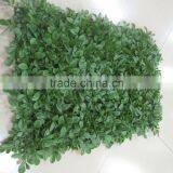 Garden New Decoration Green Plastic Artificial Grass Mat for Boxwood Fence Panels thumbnail-2