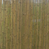 Bamboo Fence With String