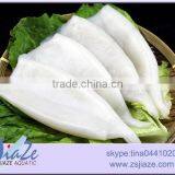 Frozen Squid Tube Illex Squid thumbnail-1