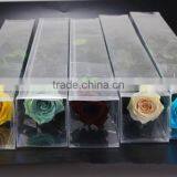 Wholesale Beautiful Real Natural Preserved Flower Preserved Rose With Stem thumbnail-5