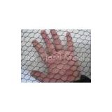 Galvanized Steel PVC Coated Wire Mesh Fence , Electric Poultry Netting