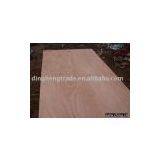Plywood thumbnail-1