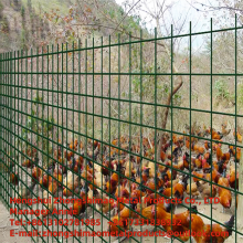 PVC-Welded Wire Mesh/flower and Wood Fences/ vinyl Coat Wire Mesh/ plastic Wire Mesh thumbnail-3
