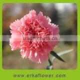 Wide Varieties Good Smell Carnation Bouquet for Wedding Bride thumbnail-6