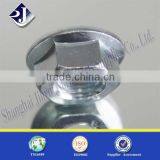 Online Shopping Top Standard in Flange Nut