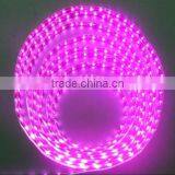 4.8W 3528 Led Flex Strip Lights With CE ROHS OMK-3528Y60-W12