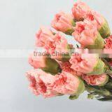 Elegant in Smell New Coming Carnation Flower Small Carnation Flowers thumbnail-2