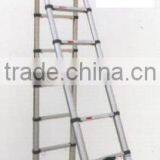 2015 Telescopic Ladder
