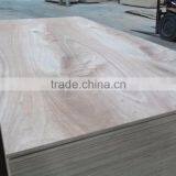 Cheap plywood eucalyptus core veneer plywood for furniture