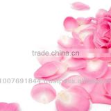 Organic Rose Petal
