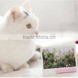 FujiFilm Instax Wide Film ( 20 Sheets ) thumbnail-6