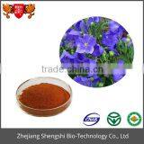 Hot Sale Fresh Cut Flowers Balloon Flower Extract Powder With High Quality thumbnail-1