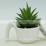 Mini White Ceramic Pot Small Plant for Living Room Decoration thumbnail-1