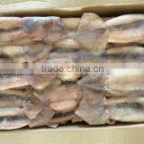 New processed frozen Todarodes Pacificus squid .