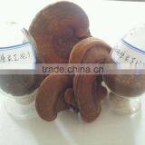 Best Quaity Vibrating Ball Grinding Mill With Special Patent