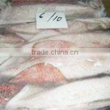 Fresh Frozen Loligo Squid thumbnail-1