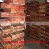 Dried Mealworms Recipes by the Pound Storage thumbnail-1