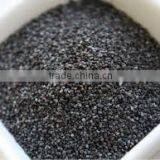 Poppy Seeds thumbnail-1