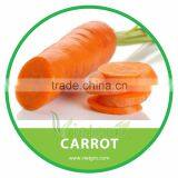 HIGH QUALITY FRESH ORGANIC CARROT thumbnail-1