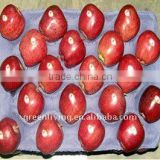 Red huaniu apple fresh fruit