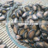 Chinese Fresh Black Watermelon Melon Seeds Kernels