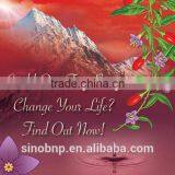 QS/HACCP/ISO-BNP Xinjiang Goji 100% Natural High Quality Goji Berry Extract thumbnail-1