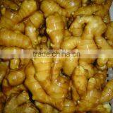 Organic Fresh Ginger thumbnail-1