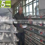 high quality wire mesh vertical quail cage