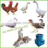 Hotel Use Electric Automatic Poultry Processing Plant Chicken Plucker Turkey Feather Depilator thumbnail-6