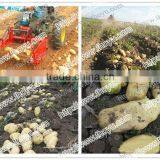 THOYU Brand Double Row Potatos Harvesting Machine Price(+86 15903677328) thumbnail-1