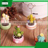 Cheap Mini Resin Cartoon Plant Pot Cactus Photo Name Business Card Holder thumbnail-2
