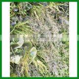 Artificial Garden Decorative Plant Wall thumbnail-3