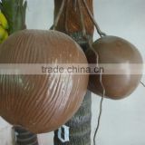 2012 new design Artificial brown coconut fruit