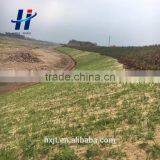 For Mountain Slope Greening Coir Fiber Mat Coir Products Coconut Blanket thumbnail-6