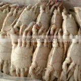 Frozen Quality Seafood and Soft Shell Crab thumbnail-1