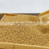 Halal Approved 7g AIU Packages Instant Honey Ginger Tea Powder/ginger Tea With Lemon thumbnail-3