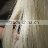 White Brown Black Color Horse Hair for Brush Tail Extensions thumbnail-4