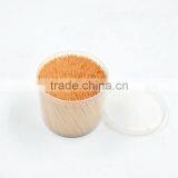 TH-055 Wholesale Plasitc Big Bootle Wrappped Disposable Toothpick in Bulk thumbnail-6