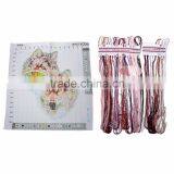 Custom Pattern Rectangle Wolf Cross Stitch Designs thumbnail-2